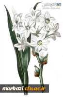 بگذاریم ....زندگی نفس بکشد. 2