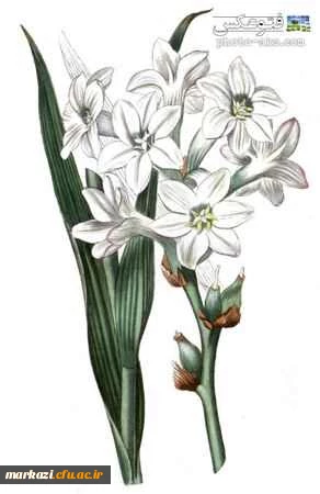 بگذاریم ....زندگی نفس بکشد. 2