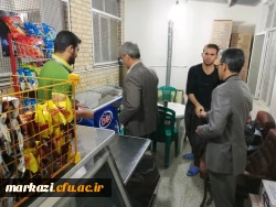 بازدید مشاور  معاونت توسعه منابع دانشگاه فرهنگیان از پردیس های استان مرکزی 13