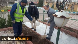برگزاری مراسم روز درختکاری در دانشگاه فرهنگیان استان مرکزی
 2