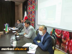 کرونا به ما درس داد که می توانیم رویه های آموزشی را مورد بازنگری قرار بدهیم 6