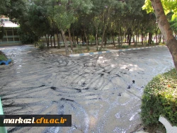 آسفالت 2000 متر مربع از محوطه پردیس شهید باهنر اراک انجام شد 3