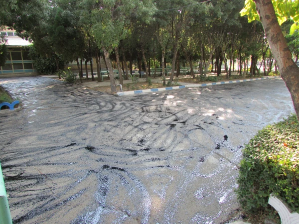 آسفالت 2000 متر مربع از محوطه پردیس شهید باهنر اراک انجام شد 3