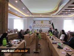 جلسه هم اندیشی اساتید پشتیبان سامانه یادگیری الکترونیک دانشگاه فرهنگیان استان مرکزی برگزار شد 3