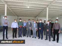 سالن تنیس روی میز پردیس شهید باهنر اراک افتتاح شد 4