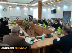 جلسه آموزشی -توجیهی مدیران و معلمان راهنمای مجری درس کارورزی دانشگاه فرهنگیان استان مرکزی در شبکه شاد برگزار شد 5