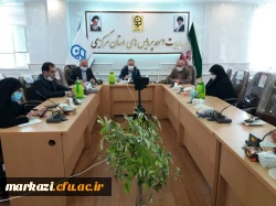 جلسه آموزشی -توجیهی مدیران و معلمان راهنمای مجری درس کارورزی دانشگاه فرهنگیان استان مرکزی در شبکه شاد برگزار شد 7