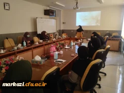 دومین کارگاه مشاوره ای شفقت درمانی در پردیس حضرت زینب کبری(س) برگزار شد 7