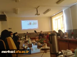 دومین جلسه رسانه و سبک زندگی سالم با محوریت فرزندپروری در عصر دیجیتال در پردیس زینب کبری(س) برگزار شد 2