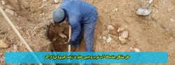 به مناسبت ایام الله دهه فجر و ولادت حضرت زهرا (س) و گرامیداشت بنیانگذار جمهوری اسلامی ایران دانشگاه فرهنگیان استان محفل انس با قرآن کریم را برگزار کرد 2