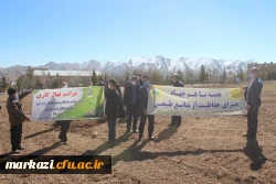 کاشت نهال به مناسبت هفته منابع طبیعی در پردیس حضرت زینب کبری (س) اراک 3