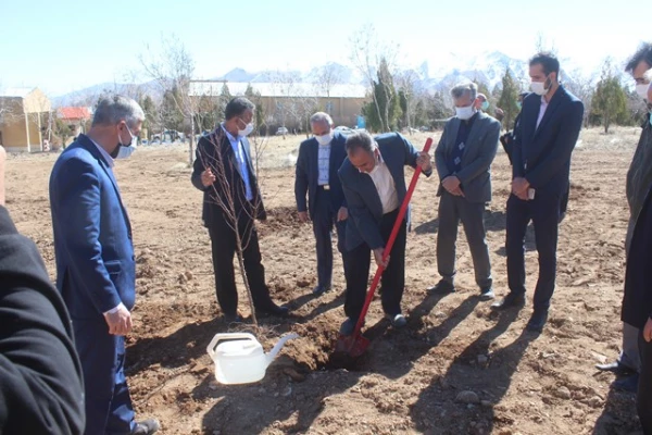 کاشت نهال به مناسبت هفته منابع طبیعی در پردیس حضرت زینب کبری (س) اراک 4