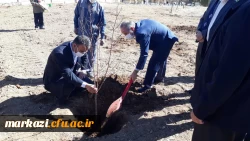 کاشت نهال به مناسبت هفته منابع طبیعی در پردیس حضرت زینب کبری (س) اراک 2