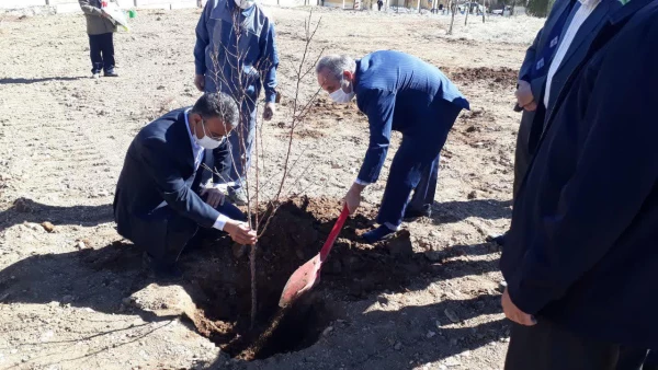 کاشت نهال به مناسبت هفته منابع طبیعی در پردیس حضرت زینب کبری (س) اراک 2