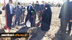کاشت نهال به مناسبت هفته منابع طبیعی در پردیس حضرت زینب کبری (س) اراک 4