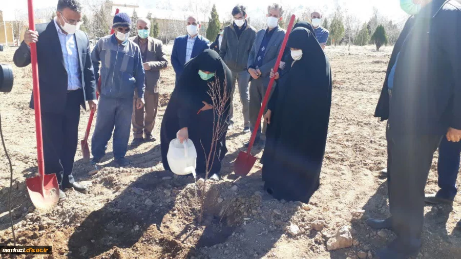 کاشت نهال به مناسبت هفته منابع طبیعی در پردیس حضرت زینب کبری (س) اراک 4