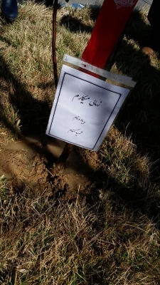 برگزاری مراسم هفتمین روز شهید گمنام در پردیس حضرت زینب کبری(س) برگزار شد 5