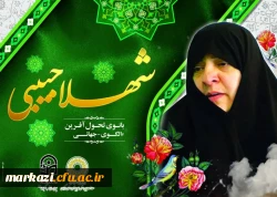 بروشور معرفی بانو امین 5