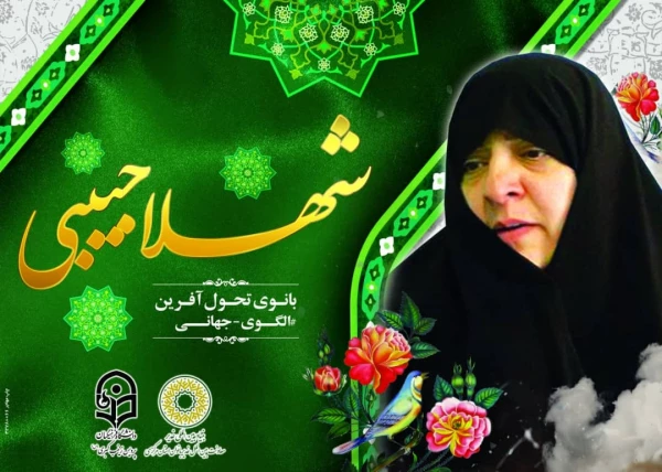 بروشور معرفی بانو امین 5