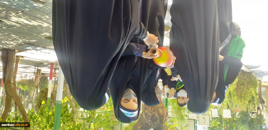 پویش سفیران حسینی (قدم های بهشتی) 10