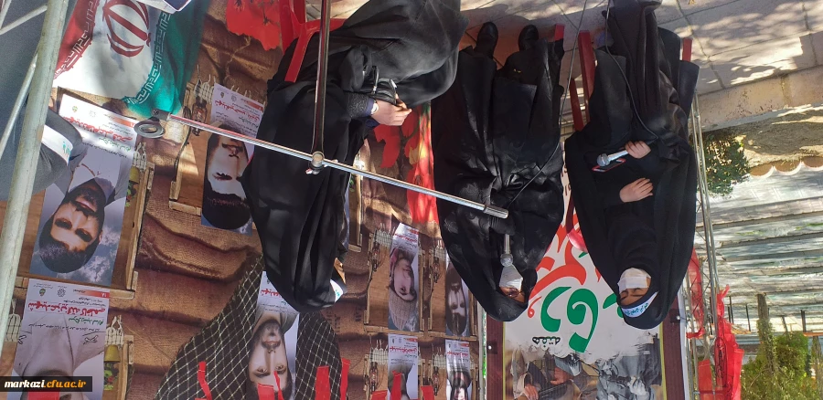 پویش سفیران حسینی (قدم های بهشتی) 11