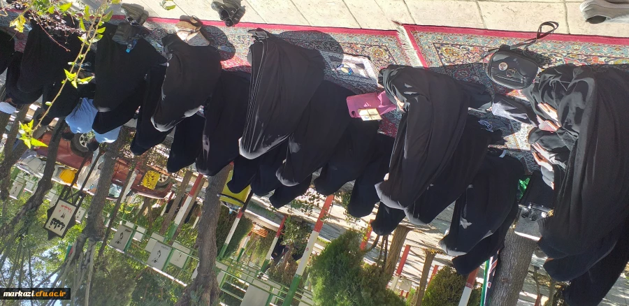 پویش سفیران حسینی (قدم های بهشتی) 19