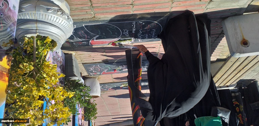 پویش سفیران حسینی (قدم های بهشتی) 6