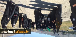 پویش سفیران حسینی (آئین پیاده روی «قدم های بهشتی») 3