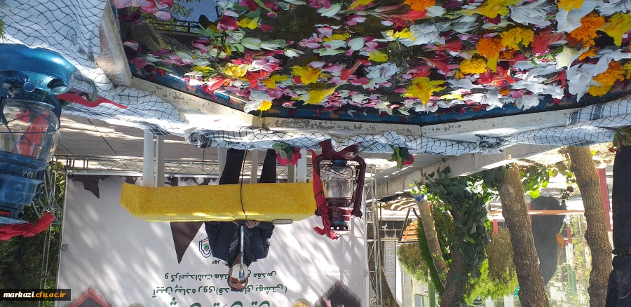 پویش سفیران حسینی (آئین پیاده روی «قدم های بهشتی») 8