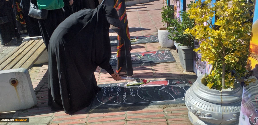 دومین پویش سفیران حسینی (آئین پیاده روی «قدم های بهشتی») 6