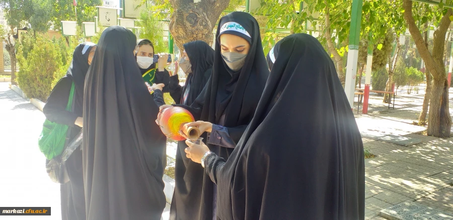 دومین پویش سفیران حسینی (آئین پیاده روی «قدم های بهشتی») 2