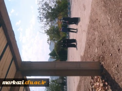 بازدید مدیرکل پشتیبانی دانشگاه فرهنگیان کشور از پردیس های استان مرکزی 5