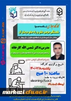 کارگاه مجازی خستگی مزمن،علل و راه های درمان آن برگزار شد 2