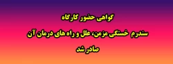 گواهی حضور کارگاه سندرم  خستگی مزمن، علل و راه های درمان آن صادر شد 4