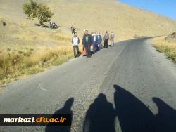 همایش پیاده روی کارکنان پردیس های استان مرکزی به مناسبت هفته تربیت بدنی برگزار شد 5