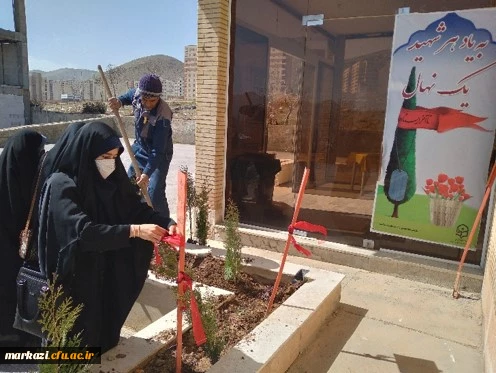 هرشهید یک نهال 2