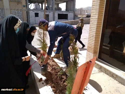 طرح هرشهید یک نهال 4