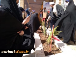 طرح هرشهید یک نهال 6