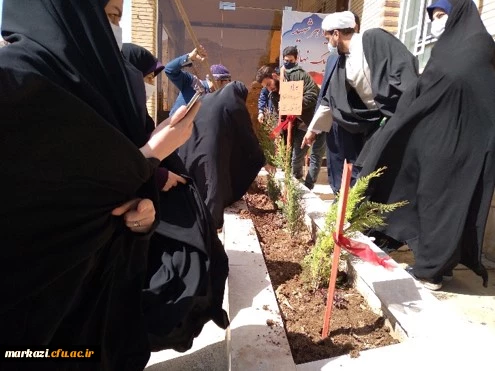 طرح هرشهید یک نهال 6