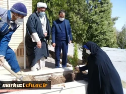 طرح هرشهید یک نهال 7