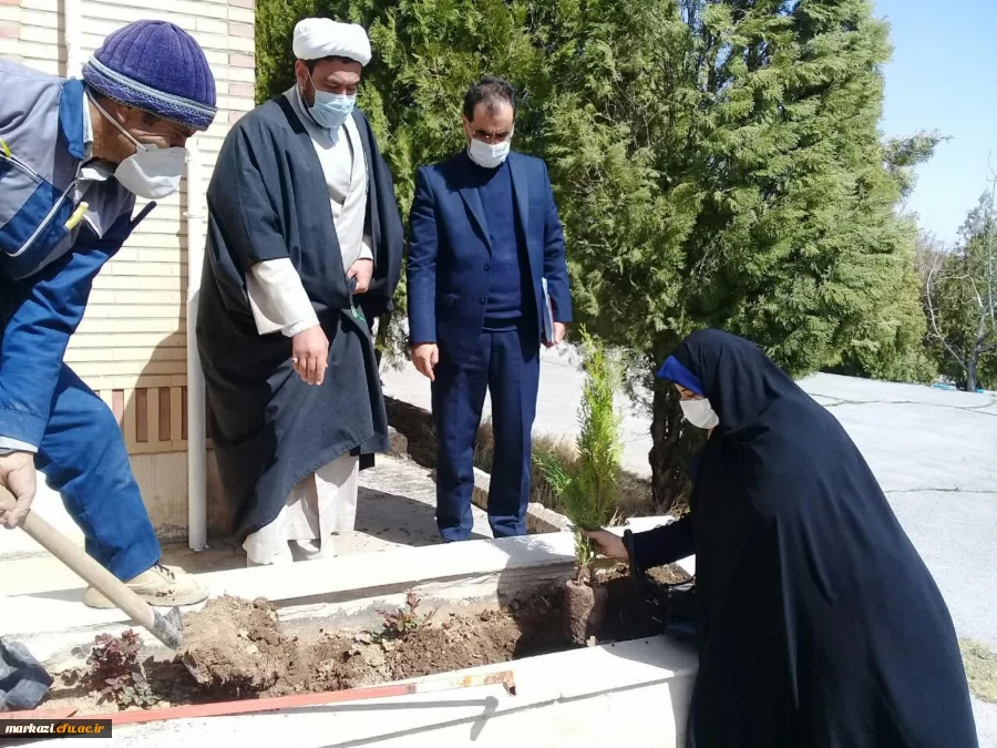 طرح هرشهید یک نهال 7