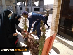 طرح هرشهید یک نهال 6