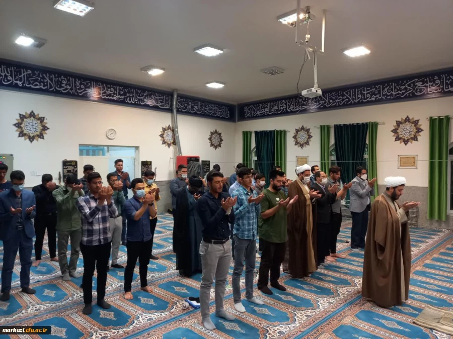 مراسم میلاد کریم اهل بیت؛ امام حسن مجتبی (ع) 3