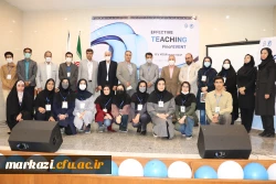 جشنواره تدریس اثر بخش (گروه زبان انگلیسی) 14