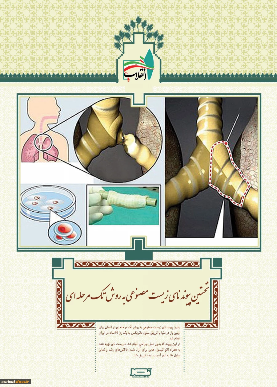  دستاوردهای نظام