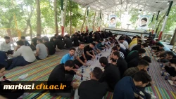 اردوی شازند