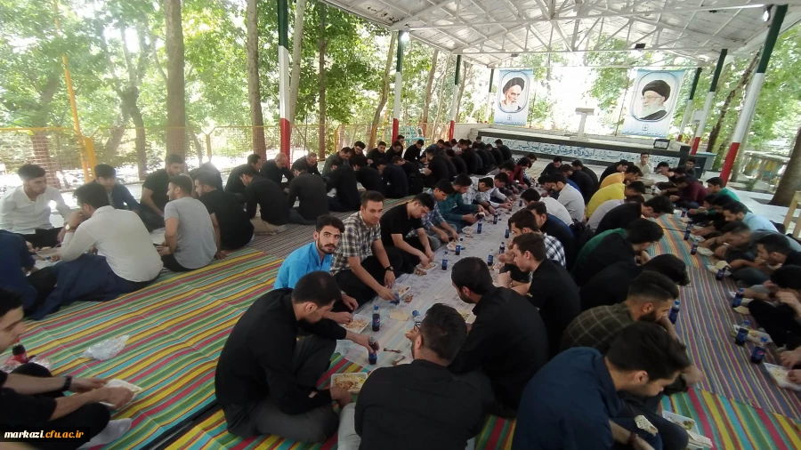 اردوی شازند