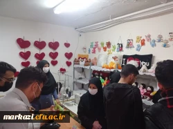 بازدید از مرکز اختلالات روانی  8