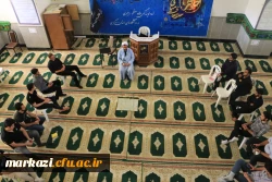 دوره توانمند سازی دانشجویان فعال فرهنگی سیاسی و اجتماعی(طرح حامیم ۲)  8