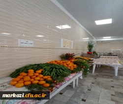 تبریک متقاوت روز دانشجو در سلف غذاخوری 3